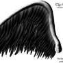 Elegant Black Wing PNG