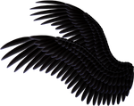 Double Spread Wings - Black by Thy-Darkest-Hour