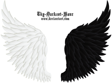 Angel Wings 06 Medium Size PNG