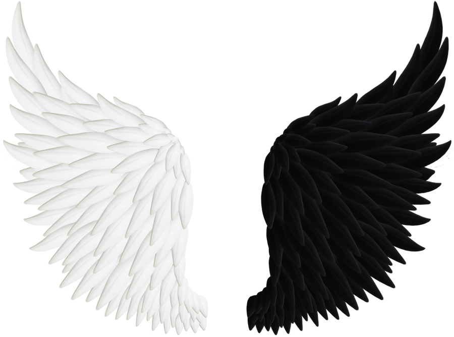 Angel Wings PNG 06