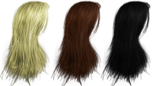 Hair PNG's 04