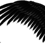 Feathered Wings - Black