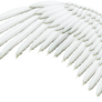 Feathered Wing - White