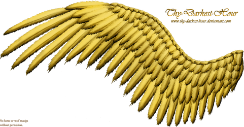 Feathered Wing - Golden