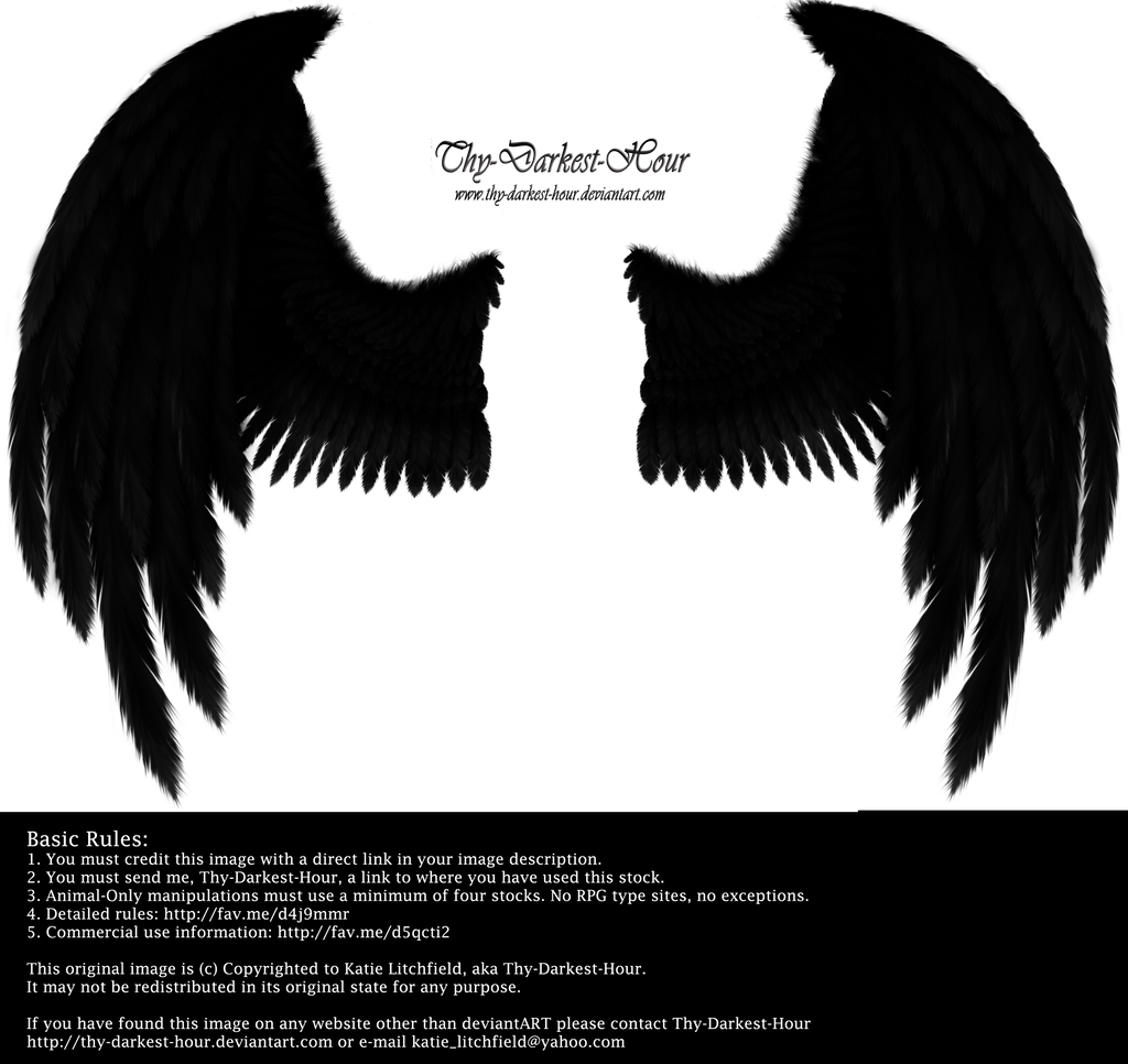 Winged Fantasy - Black