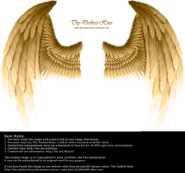 Winged Fantasy - Golden