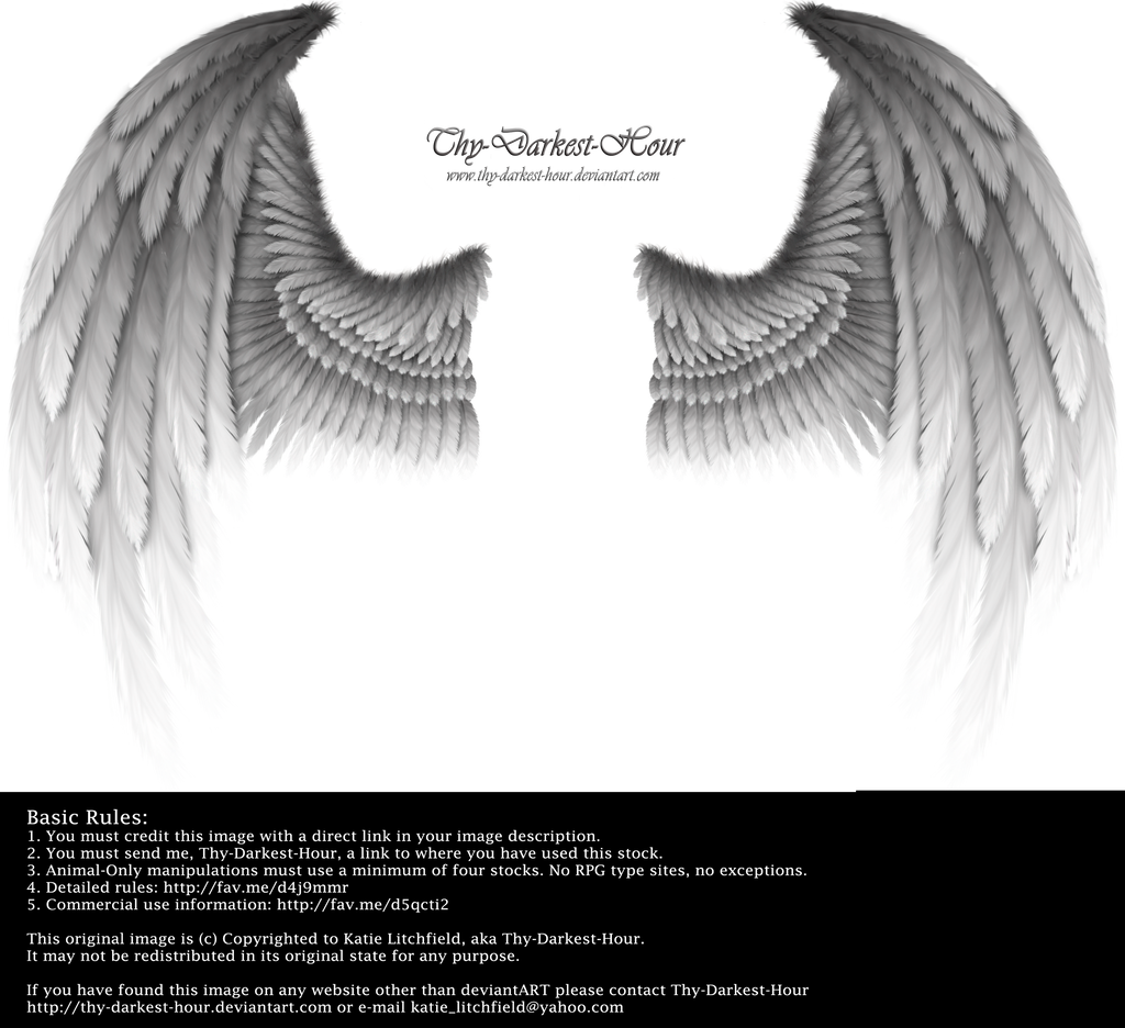 Winged Fantasy - Silver