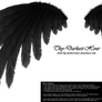 Simplistic Wing - Black