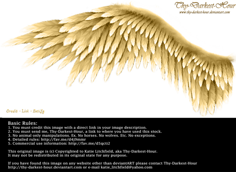 Winged Perfection - Golden