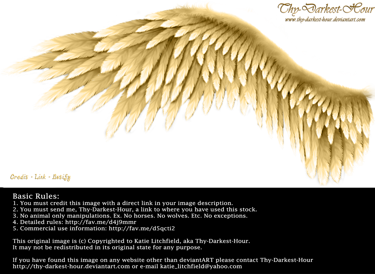 Winged Perfection - Golden