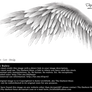 Winged Perfection - Silver