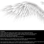 Winged Perfection - White