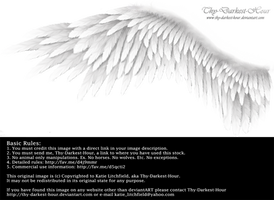 Winged Perfection - White