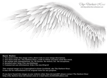 Winged Perfection - White