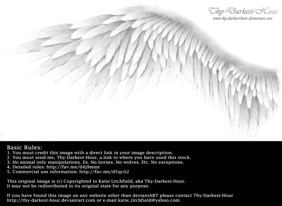 Winged Perfection - White