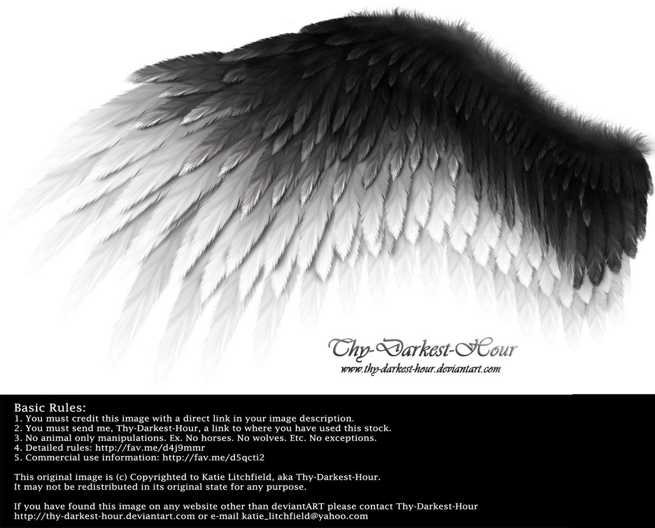 Romantic Wing - Black-White by Thy-Darkest-Hour