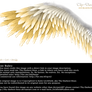 Winged Perfection - Silver-Gold