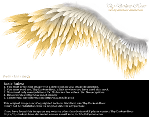 Winged Perfection - Silver-Gold