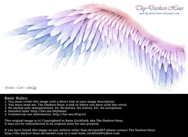 Winged Perfection - Pink-Blue