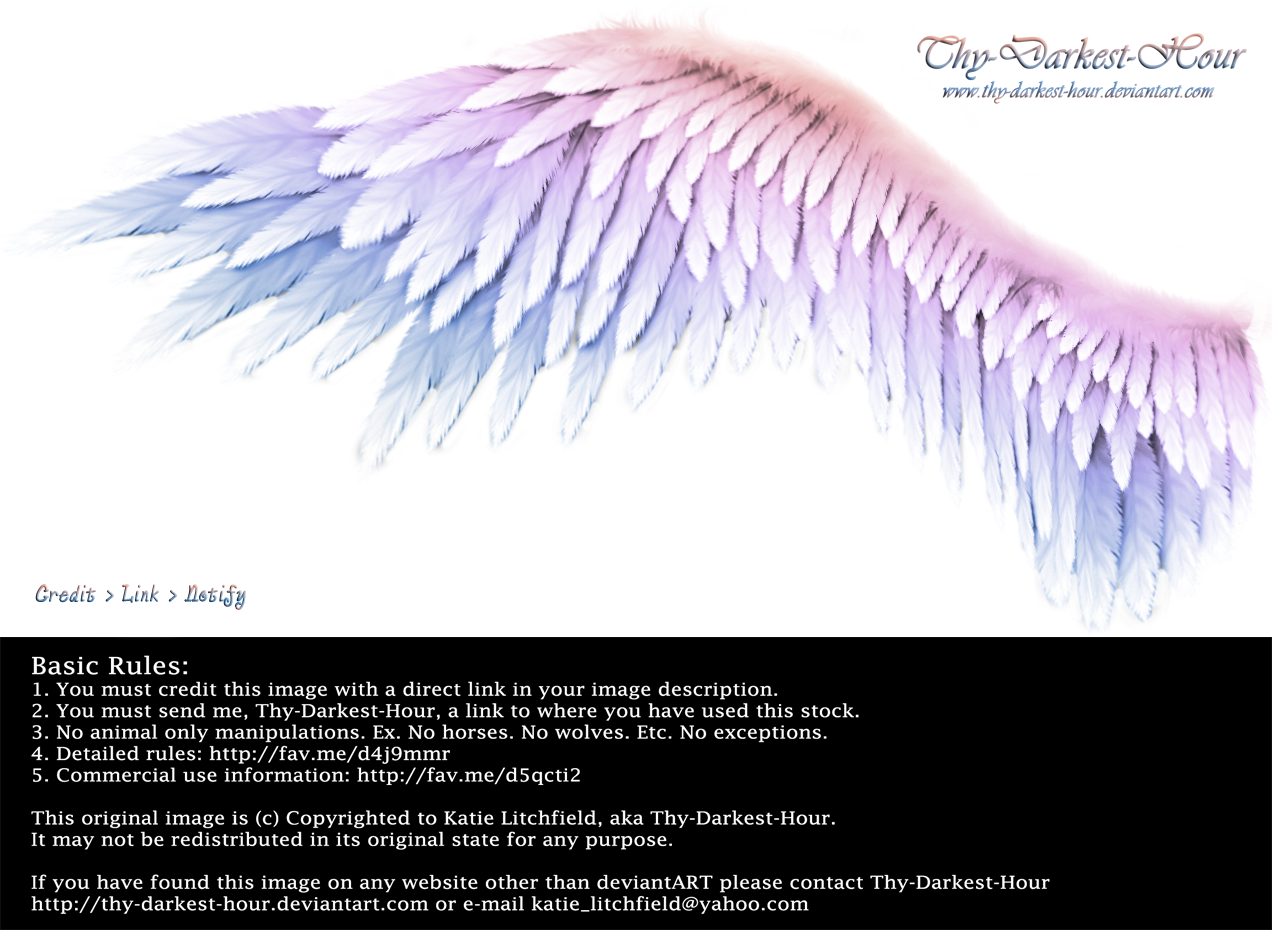 Winged Perfection - Pink-Blue