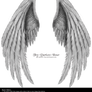 Winged Fantasy V.2 - Silver