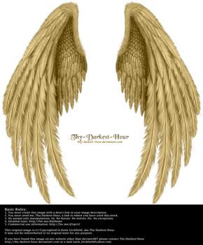 Winged Fantasy V.2 - Golden