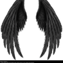 Winged Fantasy V.2 - Black
