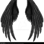 Winged Fantasy V.2 - Black