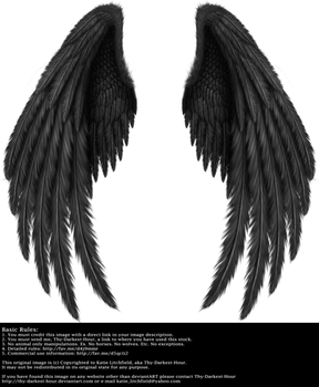 Winged Fantasy V.2 - Black