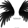 Frilled Wings - Black