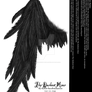 Draped Wing - Black