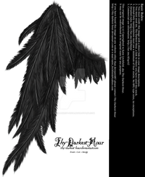 Draped Wing - Black