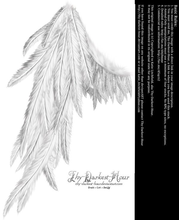 Draped Wing - White