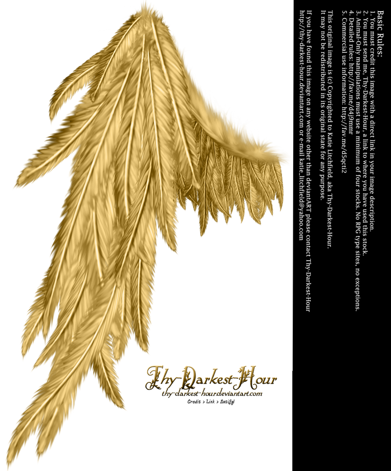 Draped Wing - Golden