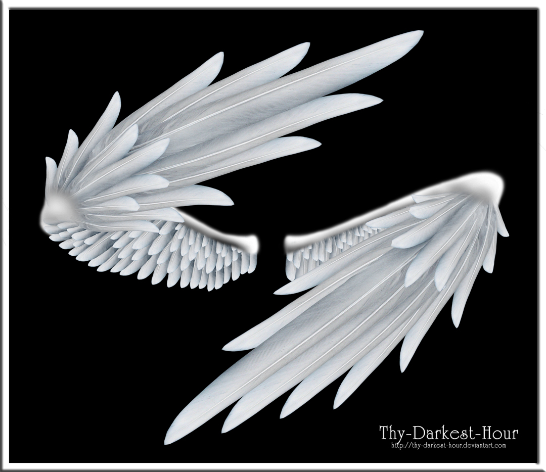 Wrapped Wings - Silver