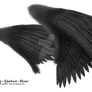 Dual Black Wings - LARGE PSD