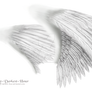 Dual White Wings - LARGE PSD