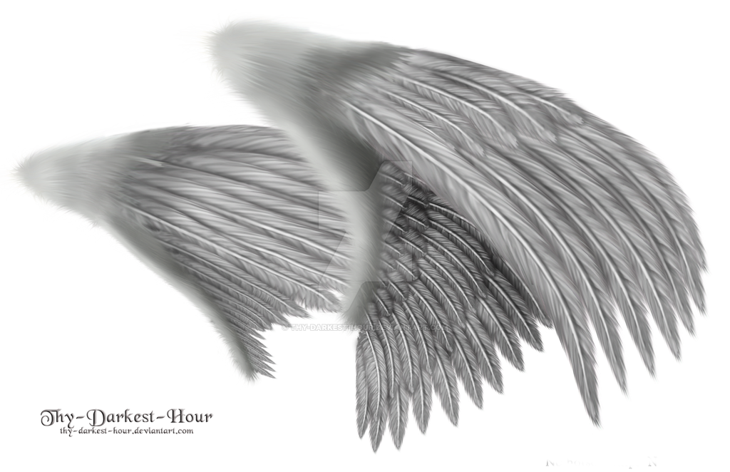 Dual Silver Wings - LARGE PSD
