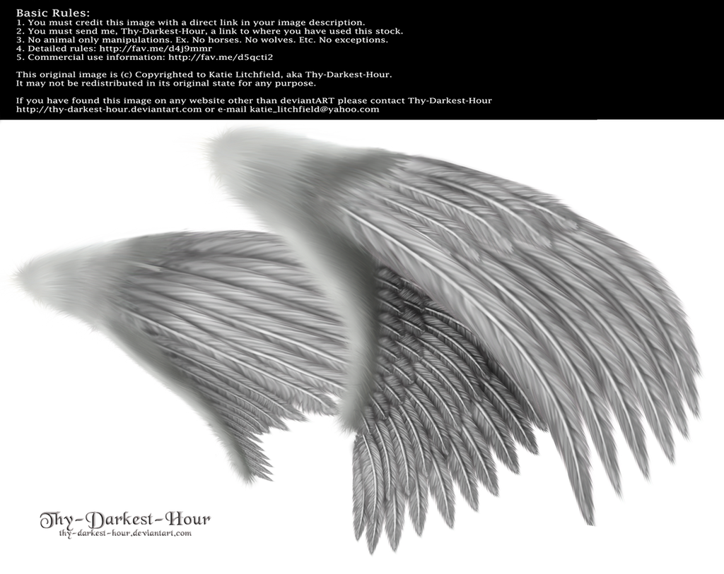 Dual Wings Silver - Med. PNG