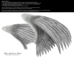 Dual Wings Silver - Med. PNG by Thy-Darkest-Hour