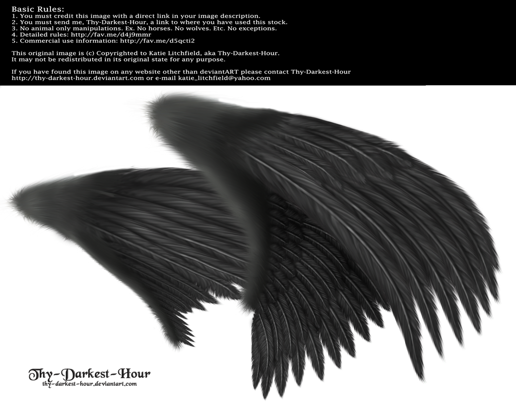 Dual Wings Black - Med. PNG