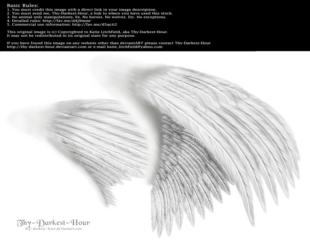 Dual Wings White - Med. PNG