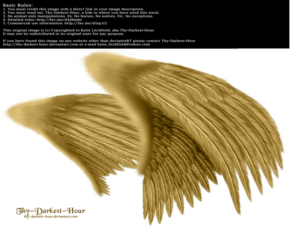 Dual Wings Gold - Med. PNG