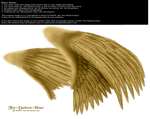 Dual Wings Gold - Med. PNG