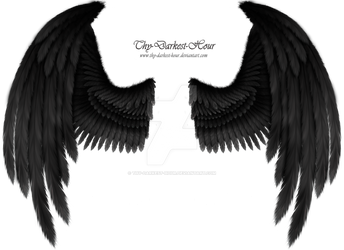 Winged Fantasy Black-Gray - Premium PSD Download
