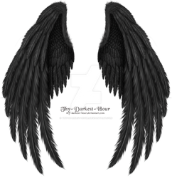 Winged Fantasy Black - Premium PSD Download