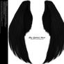 Furred Feathered Wings- Black PNG