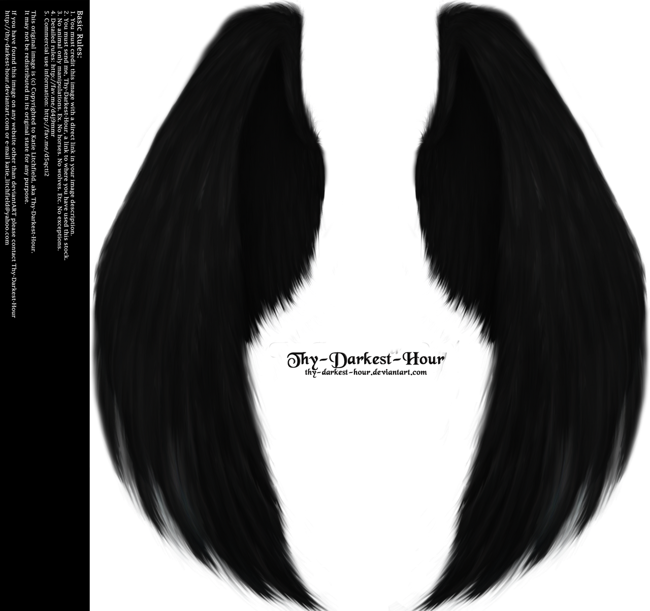 Furred Feathered Wings- Black PNG