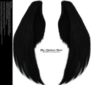 Furred Feathered Wings- Black PNG