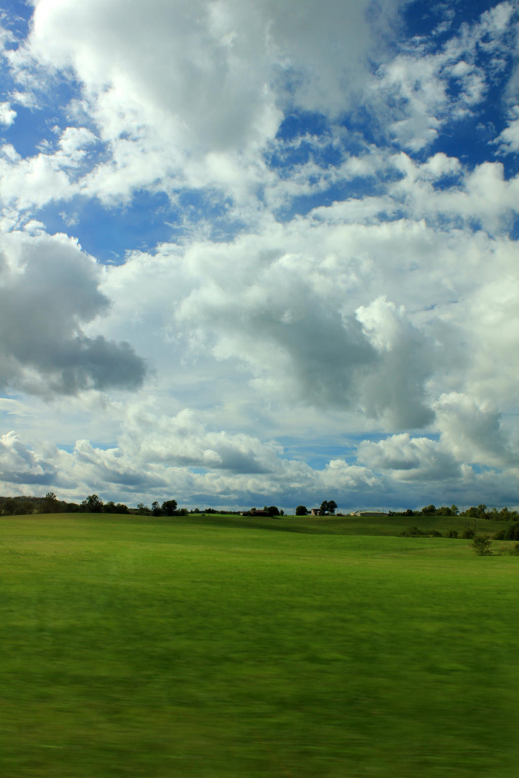 Fields of Summer